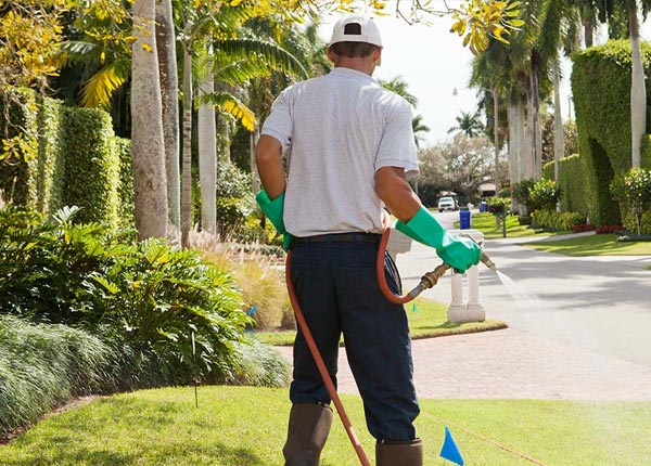 About Lockeford CA Pest Control